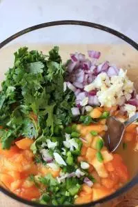 Apricot Salsa Recipe, perfect for chicken, fish or whatever!