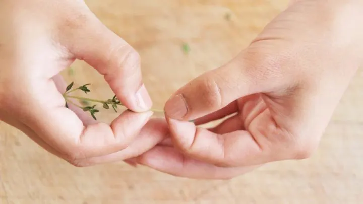 How To Mince Thyme And Other Fine Herbs.