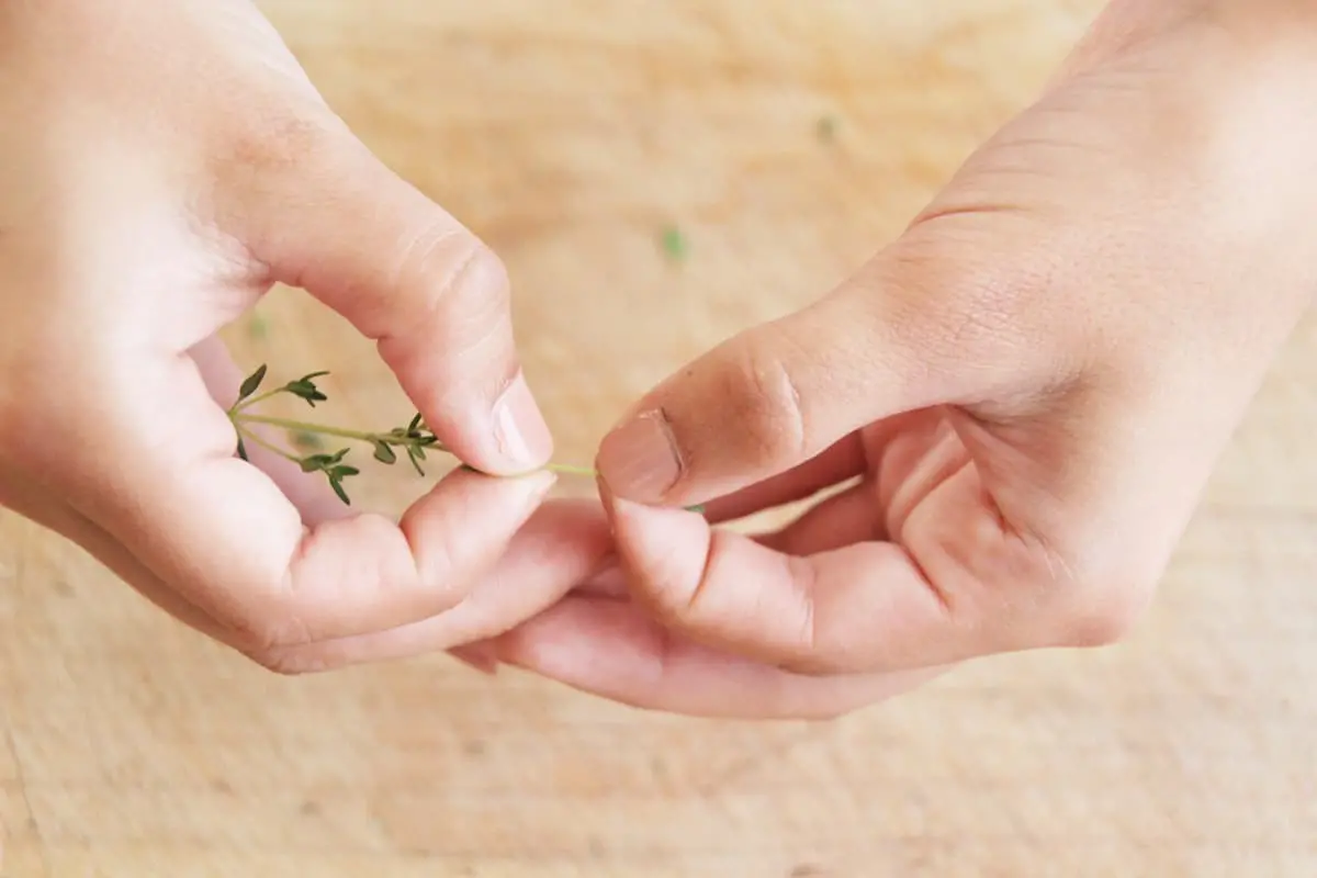 How to mince thyme and other fine herbs.