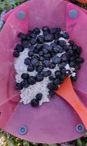 Backpacking Oatmeal With Blueberries