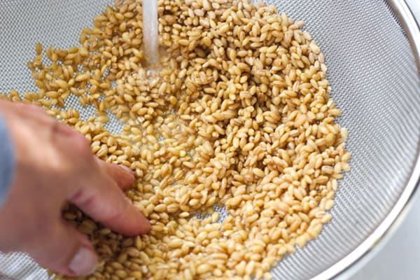 Rinsing barley in a strainer.