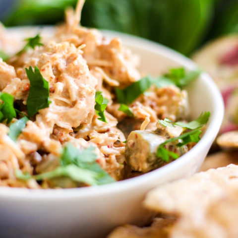 Spicy Chicken Salad Recipe – fusion craftiness