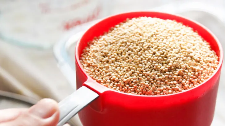Quinoa in a measuring cup.
